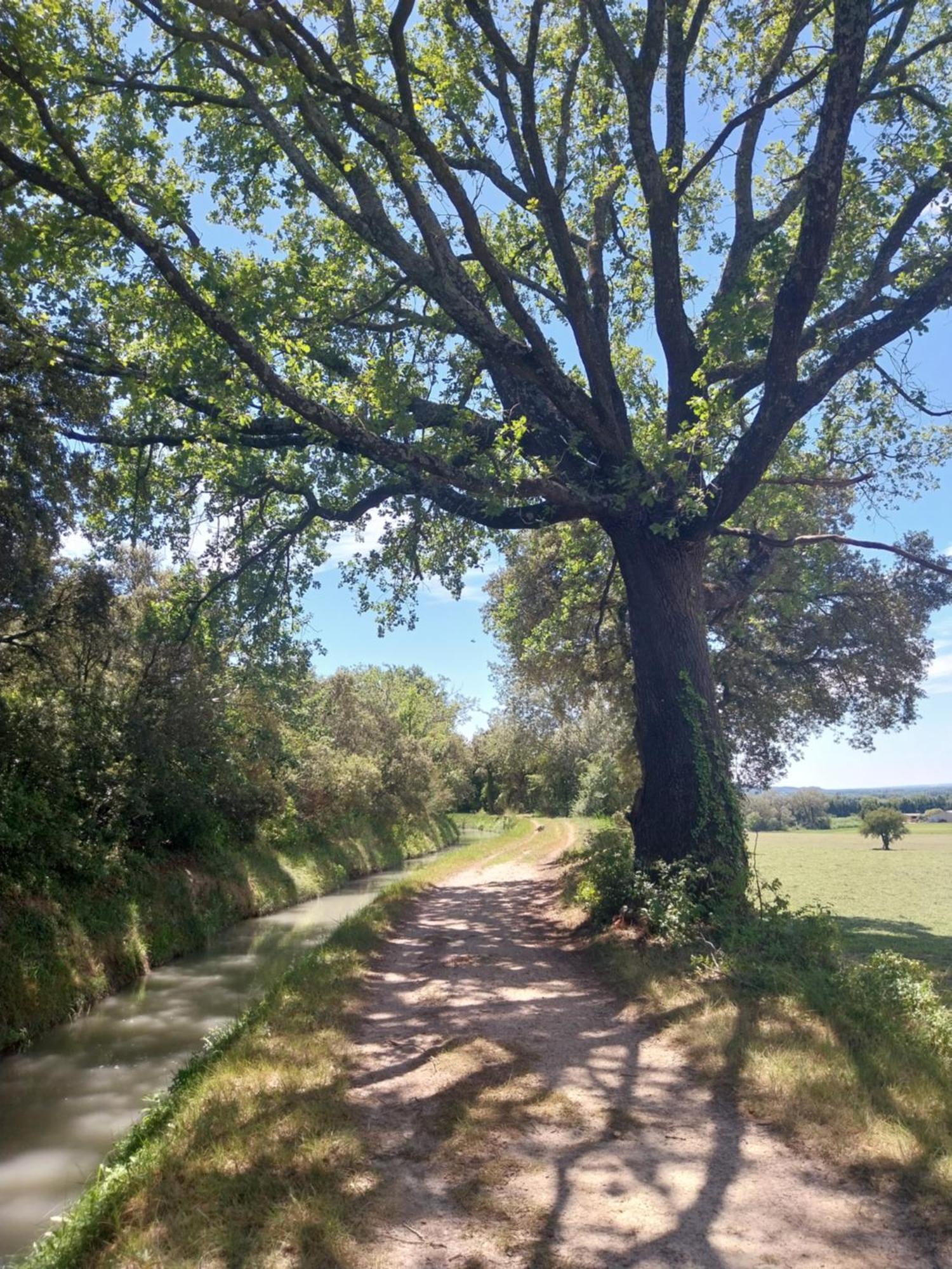 Cecile - Campagne Avec Piscine Commune - Eyragues